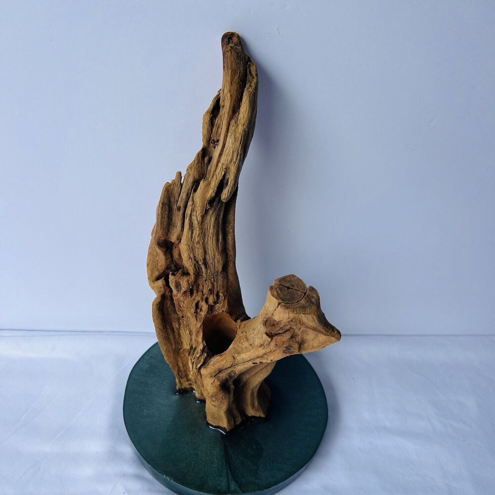Natural Driftwood Home Decor On Epoxy Base Beach Decor Excellent Used Condition